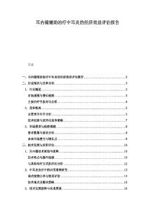 耳內(nèi)鏡輔助治療中耳炎的經(jīng)濟(jì)效益評估報告