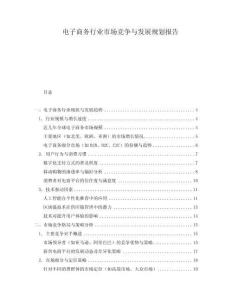電子商務行業市場競爭與發展規劃報告