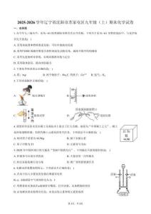 2025-2026學年遼寧省沈陽市蘇家屯區(qū)九年級（上）期末化學試卷（含答案）