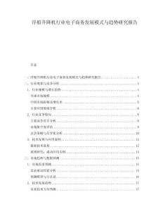 浮船升降機行業電子商務發展模式與趨勢研究報告