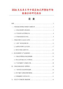 2026及未來5年中國(guó)直柄式焊塑槍市場(chǎng)數(shù)據(jù)分析研究報(bào)告