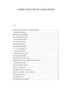 中國庚烯下游衍生物開發(fā)與高值化利用報告