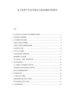 電子商務平臺競爭格局與發展戰略分析報告