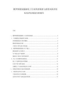 俄羅斯煤炭能源化工行業供需現狀與投資風險評估布局評估規劃分析報告
