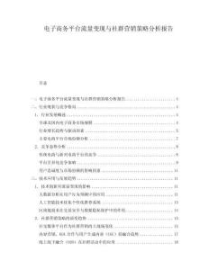 電子商務平臺流量變現與社群營銷策略分析報告