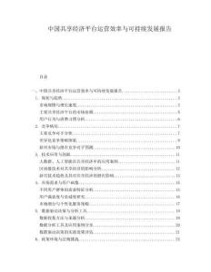 中國共享經濟平臺運營效率與可持續發展報告