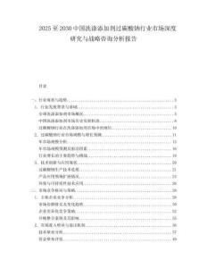 2025至2030中國洗滌添加劑過碳酸鈉行業市場深度研究與戰略咨詢分析報告