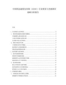 中國(guó)固態(tài)超級(jí)電容器（ASSSC）行業(yè)壁壘與突破路徑戰(zhàn)略分析報(bào)告