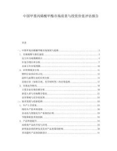 中國甲基丙烯酸甲酯市場前景與投資價值評估報告