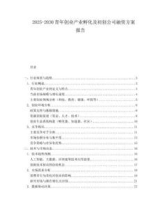 2025-2030青年創(chuàng)業(yè)產(chǎn)業(yè)孵化及初創(chuàng)公司融資方案報告