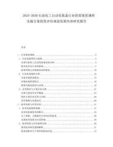 2025-2030石油化工自動化裝備行業供需現狀調研實施方案投資評估規劃發展內容研究報告