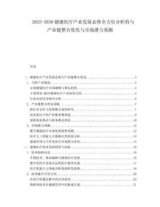 2025-2030健康醫療產業發展態勢全方位分析的與產業鏈整合優化與市場潛力預測
