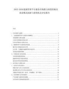 2025-2030能源管理平臺服務市場潛力深度挖掘及商業模式創新與投資機會評估報告