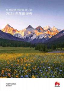 華為投資控股有限公司2024年年度報告