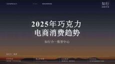 2025年巧克力電商消費趨勢
