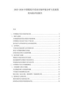 2025-2030中國煤炭開采業市場環境分析與發展投資風險評估報告