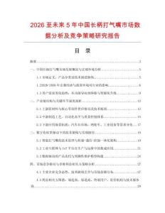 2026至未來(lái)5年中國(guó)長(zhǎng)柄打氣嘴市場(chǎng)數(shù)據(jù)分析及競(jìng)爭(zhēng)策略研究報(bào)告