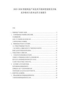 2025-2030智能制造產(chǎn)業(yè)技術(shù)升級(jí)深度觀察及市場(chǎng)競(jìng)爭(zhēng)格局與資本運(yùn)作方案報(bào)告