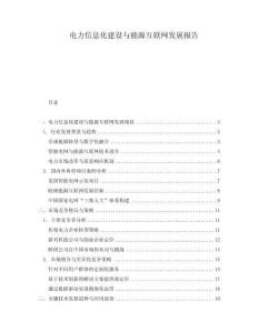 電力信息化建設與能源互聯網發展報告