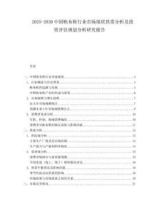 2025-2030中國帆布鞋行業市場現狀供需分析及投資評估規劃分析研究報告