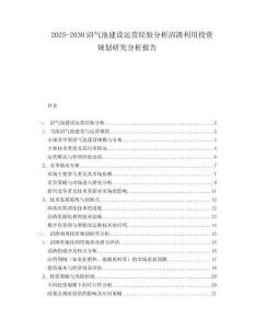 2025-2030沼氣池建設(shè)運(yùn)營(yíng)經(jīng)驗(yàn)分析沼渣利用投資規(guī)劃研究分析報(bào)告