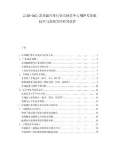2025-2030新能源汽車行業市場競爭力測評及續航技術與發展方向研究報告