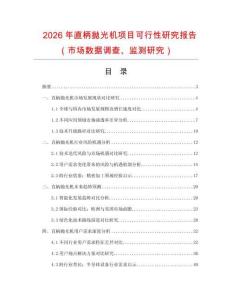 2026年直柄拋光機(jī)項(xiàng)目可行性研究報(bào)告（市場(chǎng)數(shù)據(jù)調(diào)查、監(jiān)測(cè)研究）