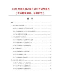 2026年游樂機臺項目可行性研究報告（市場數據調查、監測研究）