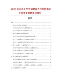 2026至未來5年中國晾皮夾市場數據分析及競爭策略研究報告