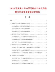 2026至未來5年中國可換向氣鉆市場數(shù)據(jù)分析及競爭策略研究報告