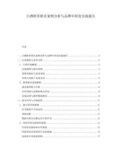 白酒跨界聯名案例分析與品牌年輕化實踐報告