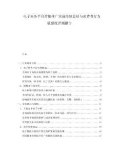 電子商務平臺營銷推廣實戰經驗總結與消費者行為敏感度評測報告