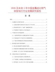 2026及未來5年中國金屬鹵化物氣體放電燈行業(yè)發(fā)展研究報告