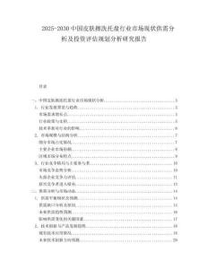 2025-2030中國(guó)皮膚擦洗托盤(pán)行業(yè)市場(chǎng)現(xiàn)狀供需分析及投資評(píng)估規(guī)劃分析研究報(bào)告