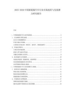 2025-2030中國新能源汽車行業市場現狀與發展潛力研究報告