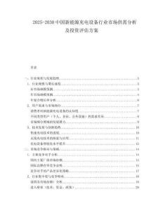 2025-2030中國新能源充電設備行業市場供需分析及投資評估方案