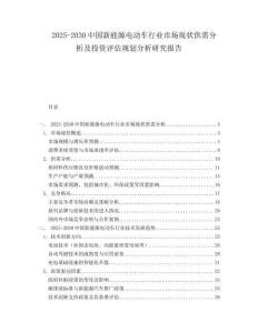 2025-2030中國新能源電動車行業市場現狀供需分析及投資評估規劃分析研究報告