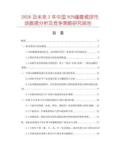 2026及未來5年中國92%碾磨瓷球市場數(shù)據(jù)分析及競爭策略研究報告