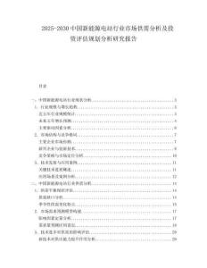 2025-2030中國新能源電站行業(yè)市場供需分析及投資評估規(guī)劃分析研究報告