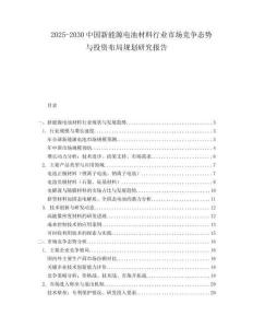 2025-2030中國新能源電池材料行業(yè)市場競爭態(tài)勢與投資布局規(guī)劃研究報告