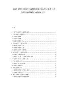 2025-2030中國汽車改裝件行業市場現狀供需分析及投資評估規劃分析研究報告