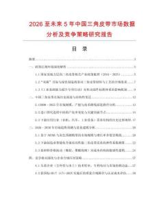 2026至未來5年中國三角皮帶市場數(shù)據(jù)分析及競爭策略研究報告