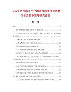 2026至未來5年中國保險裝置市場數(shù)據(jù)分析及競爭策略研究報(bào)告