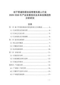地下管道防腐涂層修復機器人行業2026-2030年產業發展現狀及未來發展趨勢分析研究