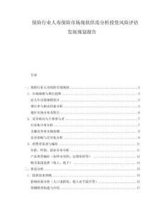 保險行業(yè)人壽保險市場現(xiàn)狀供需分析投資風(fēng)險評估發(fā)展規(guī)劃報告