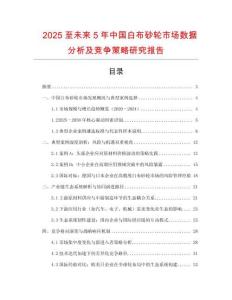 2025至未來5年中國白布砂輪市場(chǎng)數(shù)據(jù)分析及競(jìng)爭(zhēng)策略研究報(bào)告