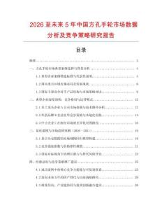 2026至未來5年中國方孔手輪市場數(shù)據(jù)分析及競爭策略研究報告