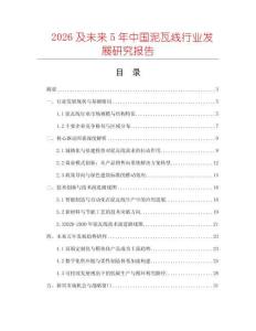 2026及未來5年中國泥瓦線行業(yè)發(fā)展研究報告