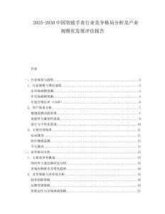 2025-2030中國智能手表行業競爭格局分析及產業規模化發展評估報告