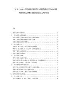 2025-2030中國智能手機(jī)操作系統(tǒng)軟件開發(fā)業(yè)市場現(xiàn)狀供需分析及投資前景發(fā)展研究
